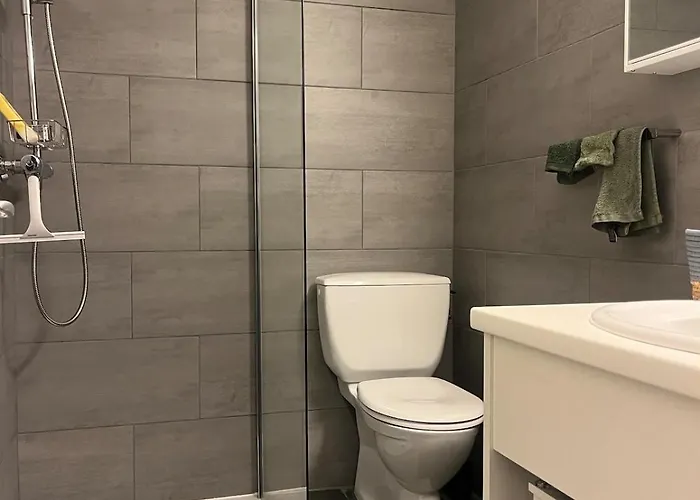 Apartament Joli En Plein Centre
